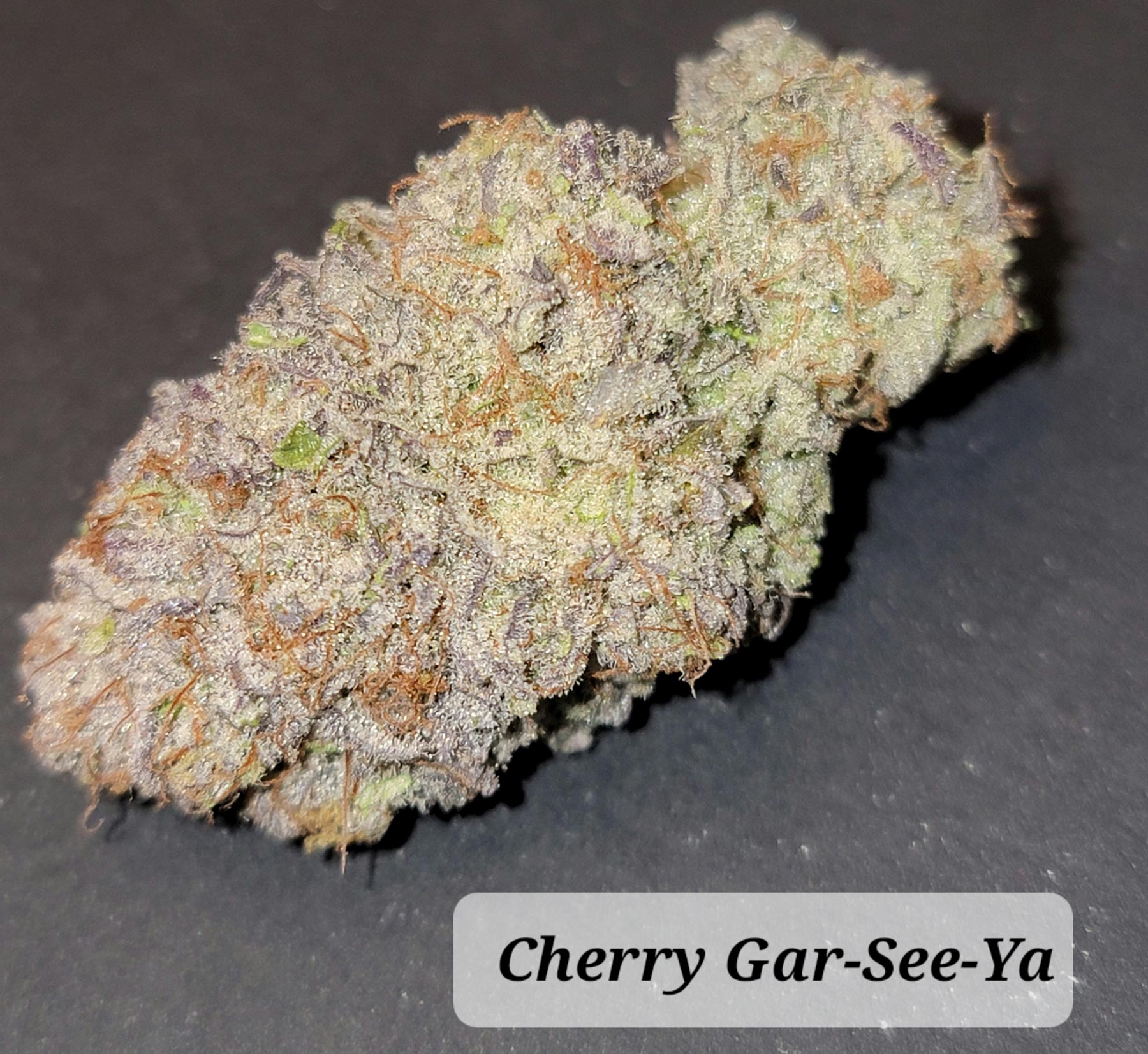 Cherry GarSeeYa Timberwoods Farm